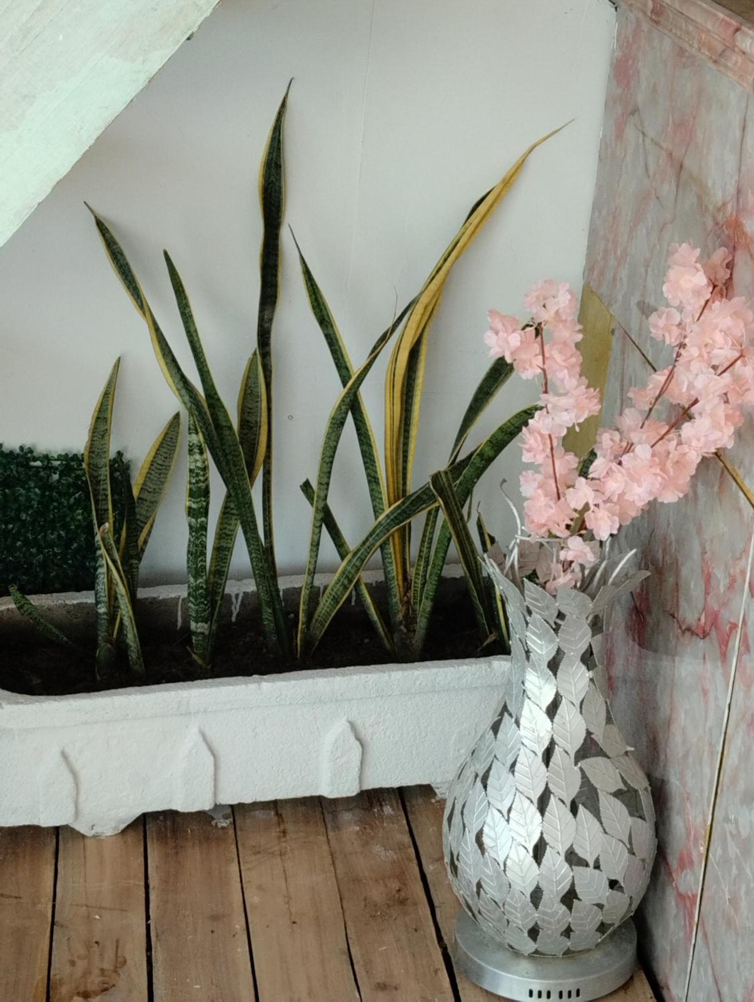 Hostal Lamar Baru Donde Gertrudis 플라야 블랑카 외부 사진