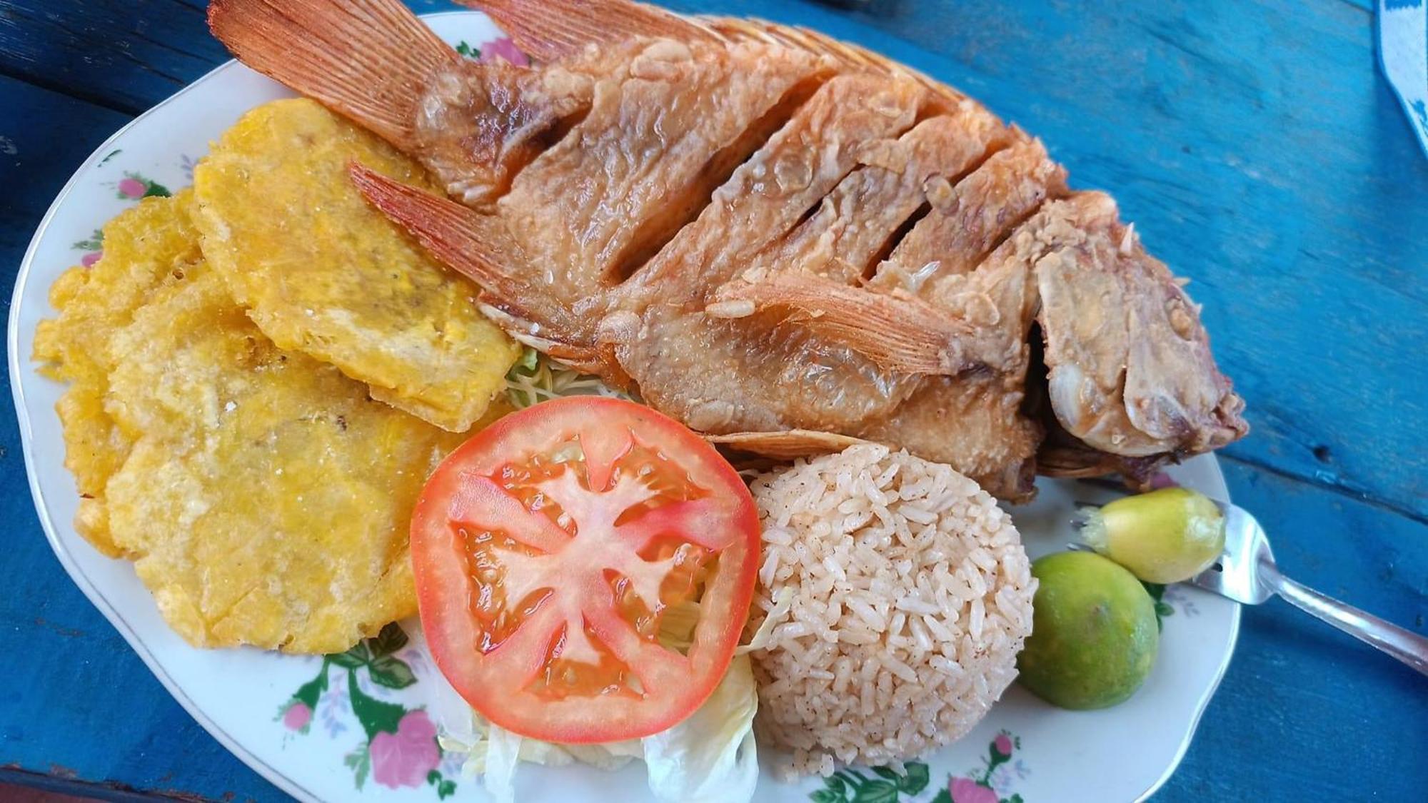 Hostal Lamar Baru Donde Gertrudis 플라야 블랑카 외부 사진